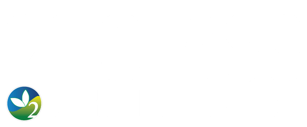 21 class challenge